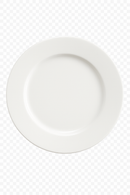 Assiette plate porcelaine motif decoratif table ronde 27cm
