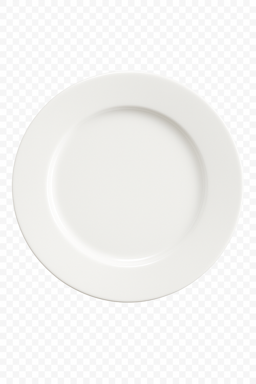 Assiette plate porcelaine motif decoratif table ronde 27cm