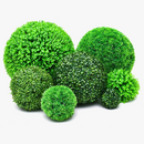boule-de-gazon-artificiel-d-coration-int-rieure-plante-verte-5.png