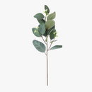 branche-d-eucalyptus-artificielle-d-coration-jardin-balcon-plante-simul-e-5.png