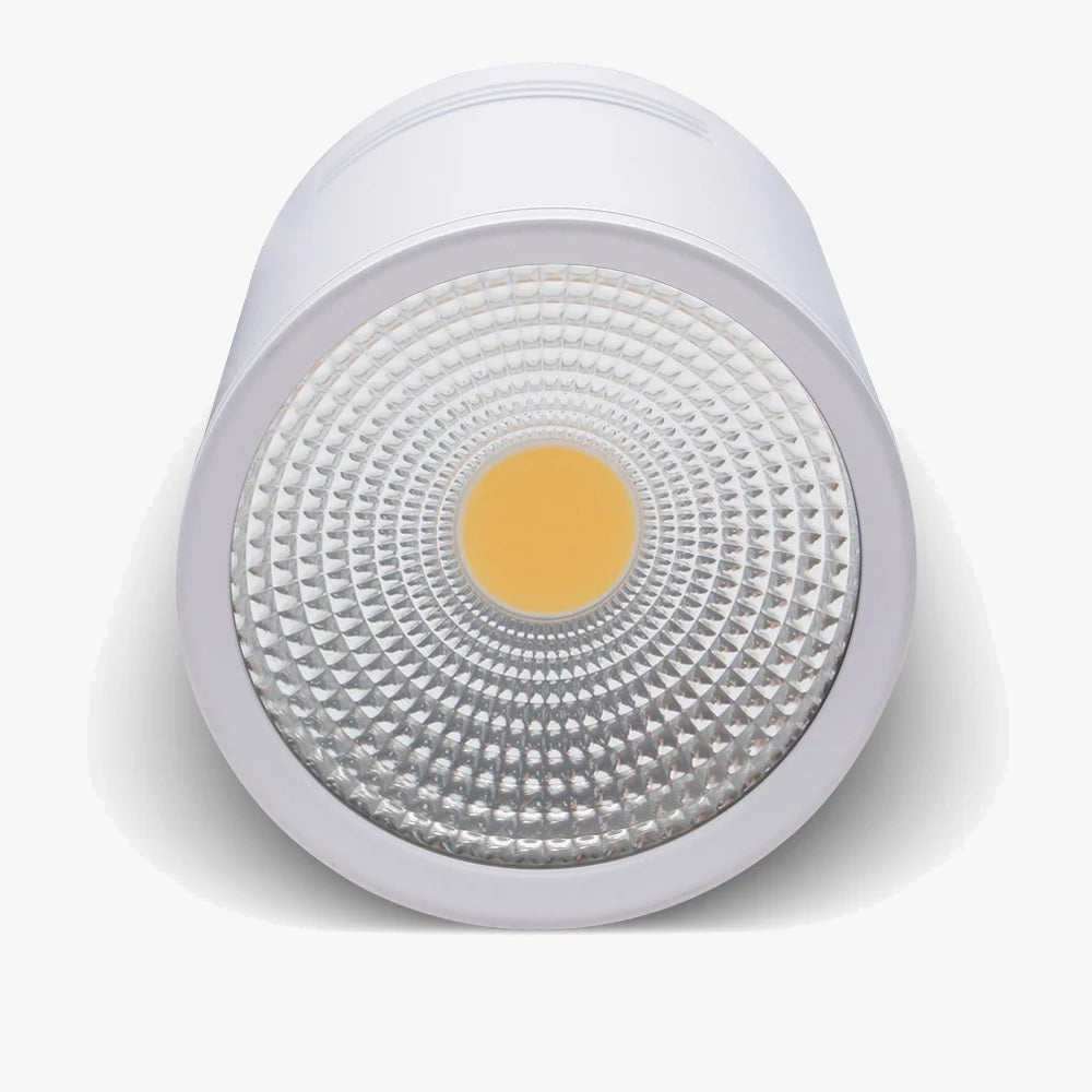 Spot Dimmable LED COB monté en Surface Downlight 3W/5W/7W/10W/12W/15W blanc/noir boîtier