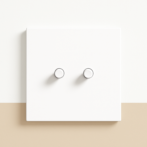 Interrupteur double 2 voies en acier blanc mat