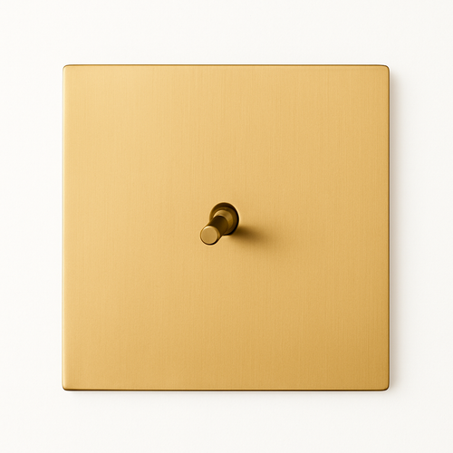 Interrupteur simple 1 voie en acier doré brossé