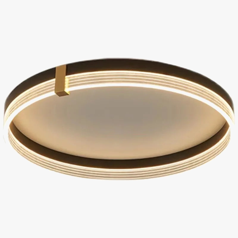 lampe-de-plafond-led-minimaliste-avec-t-l-commande-luxueuse-5.png
