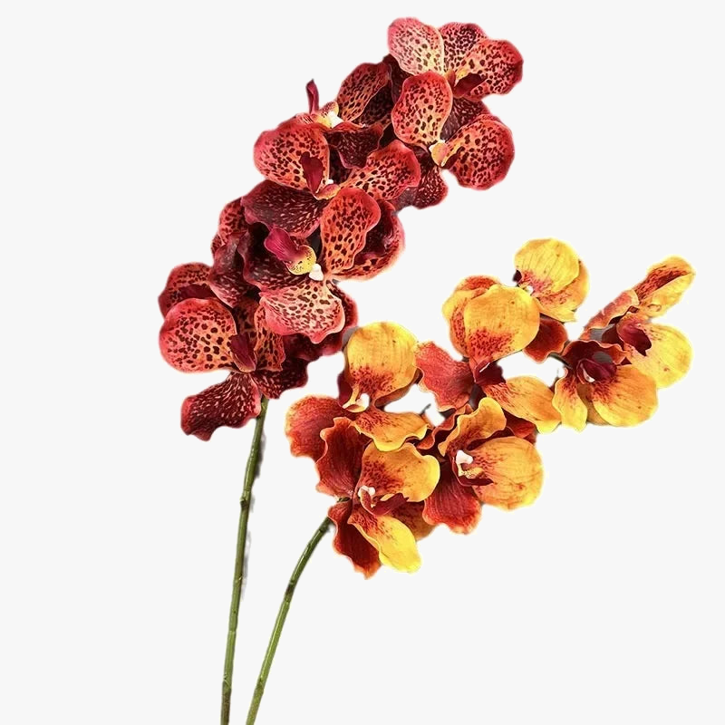 lot-de-2-orchid-es-artificielles-vanda-pour-d-coration-int-rieure-1.png