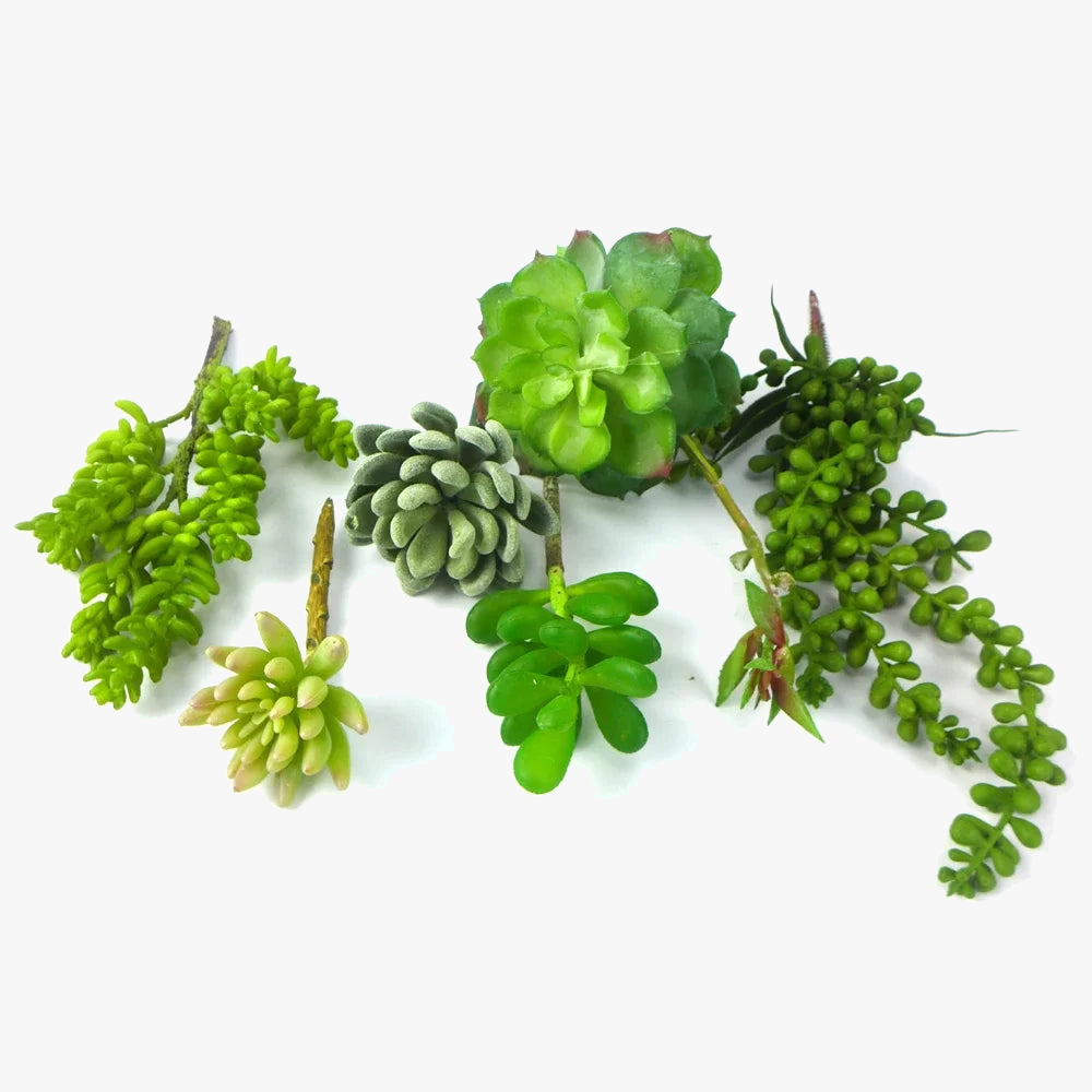lot de 6 plantes succulentes artificielles pour décoration et bricolage