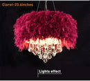 lustre-cr-atif-simple-plume-led-net-romantique-populaire-8.png