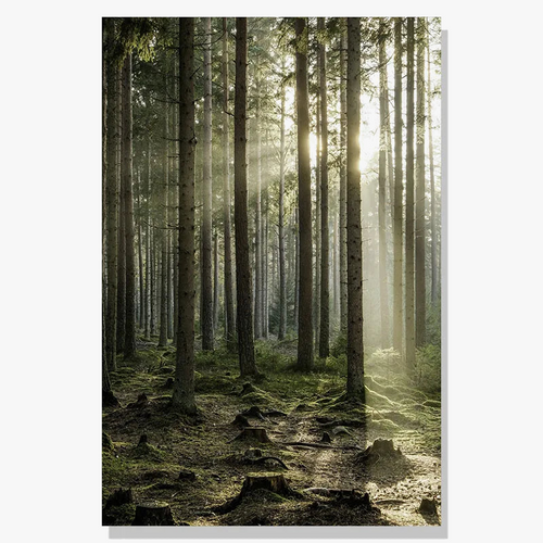 paysage-nordique-hiver-cerf-hibou-lumi-re-du-soleil-art-mural-6.png