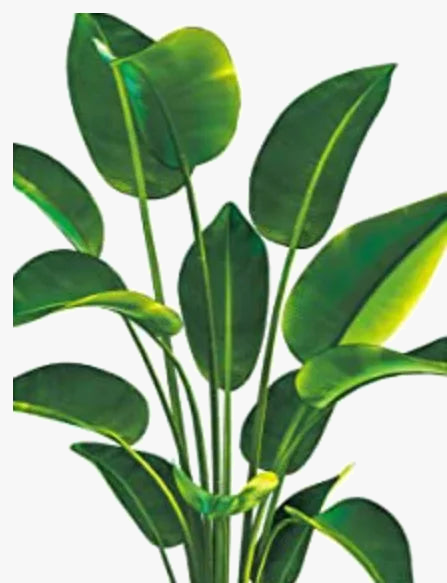 peinture diamant 5D plantes vertes broderie mosaïque décoration murale
