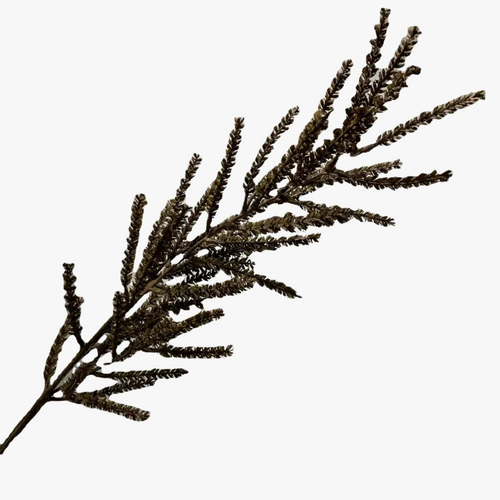 plante-artificielle-dherbe-de-bl-d-coration-naturelle-pour-int-rieur-1.png