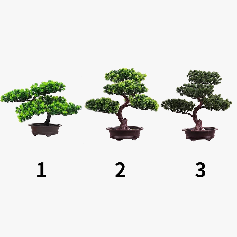 plante en pot décorative style bonsaï pour maison et bureau