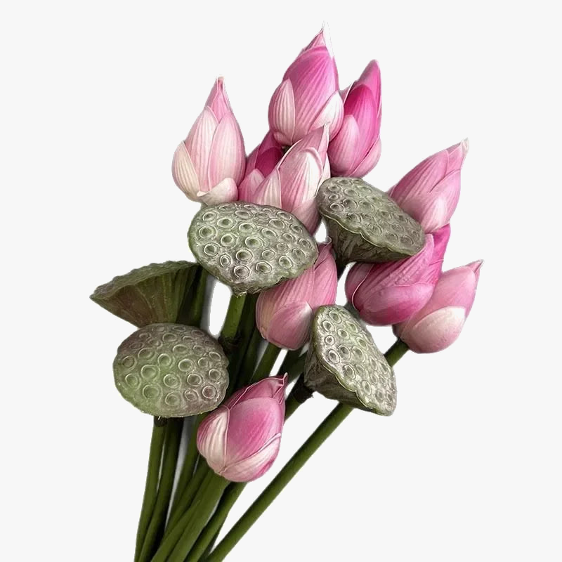 plantes artificielles lotus touché réel décoration florale pour intérieur