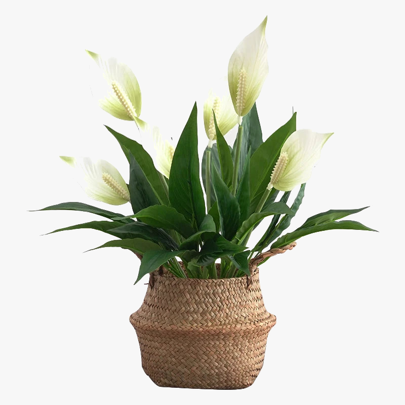 plantes artificielles tropicales monstera anthurium pour décoration intérieure