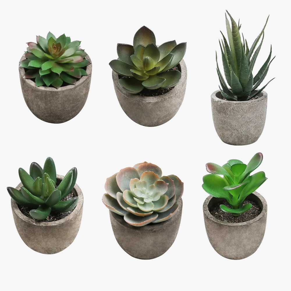 plantes succulentes artificielles pour décoration intérieure moderne