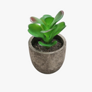 plantes-succulentes-artificielles-pour-d-coration-int-rieure-moderne-1.png