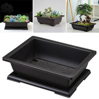 pot de fleurs rectangulaire en plastique pour bonsaï et jardin