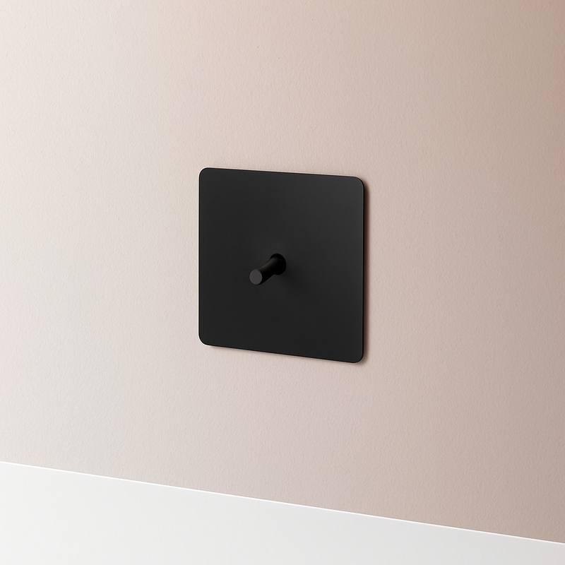 Prise électrique double (Europe) en acier noir brossé