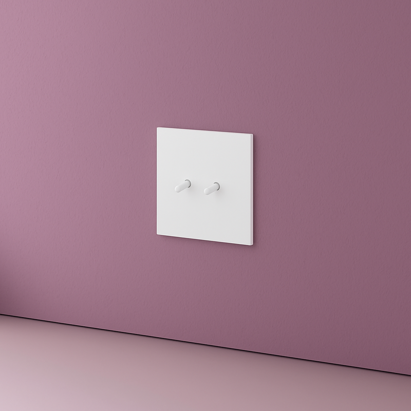 Prise électrique et double USB en acier blanc mat