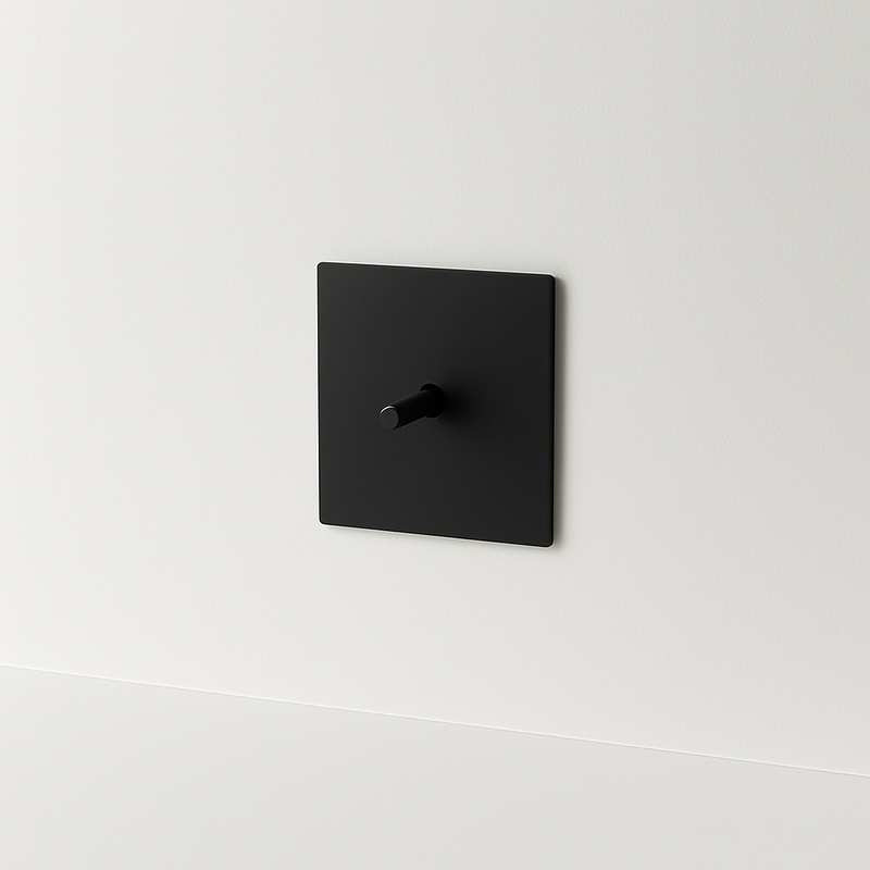 Prise électrique simple en acier noir brossé