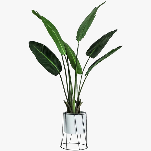 support-de-plante-moderne-en-fer-pour-d-coration-int-rieure-et-ext-rieure-2.png