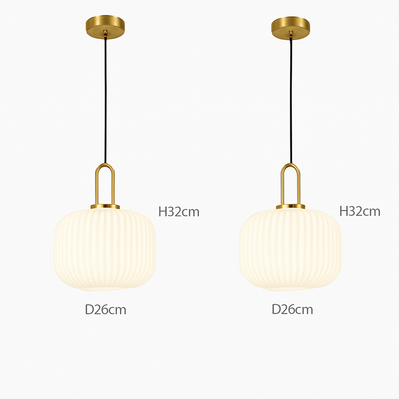 49663421972826|49663422071130|49663422824794|49663422890330