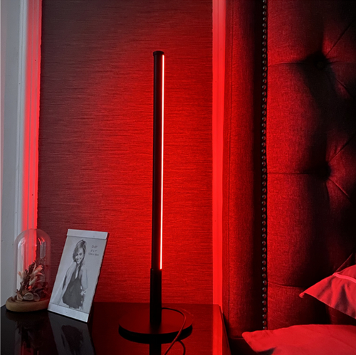 Lampe à poser industriel LED minimaliste en métal Hevenly