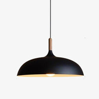 Suspension design LED à l'abat-jour arrondi en métal noir Creative