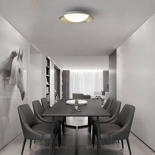 Plafonnier moderne LED avec abat-jour arrondi et boule lumineuse