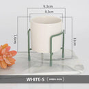 Piédestal pour plantes sur pied bas moderne Loft