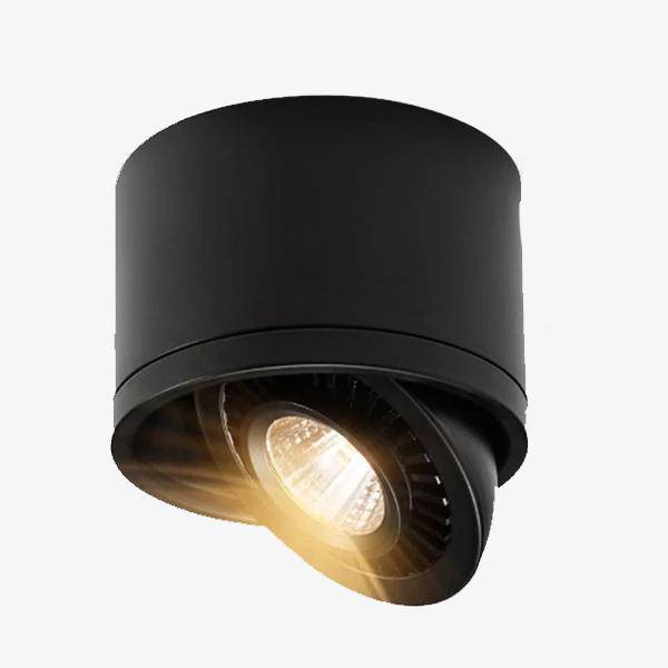 Spot à LED dirigeable Mounted